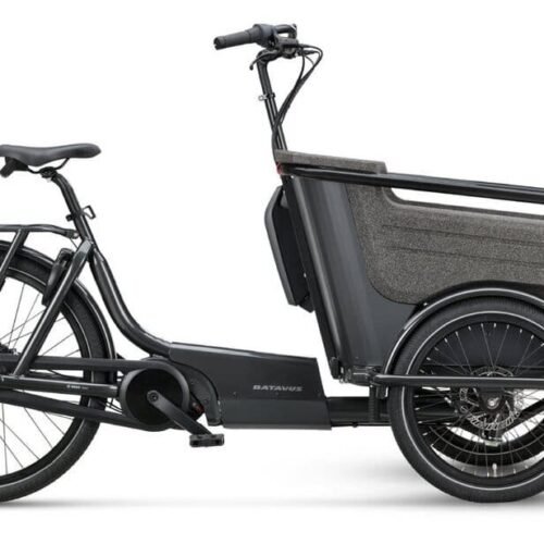 Batavus Fier-3 Env 500 Wh 20 Zoll Dreirad