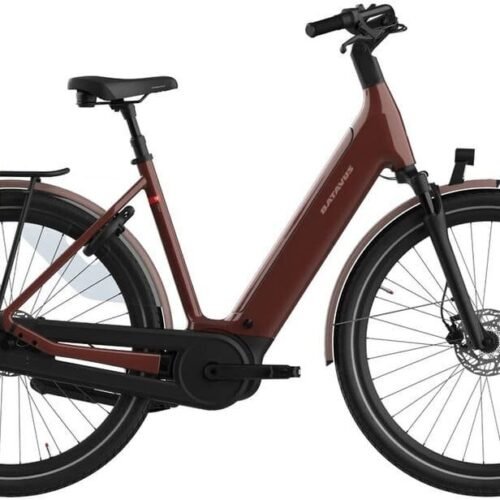 Batavus Finez E-go Power Plus 750 750 Wh 28 Zoll Tiefeinsteiger 2026