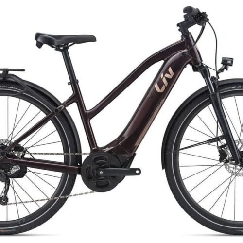 Liv Amiti-E+ 2 RC Dash 500 Wh 28 Zoll Trapez