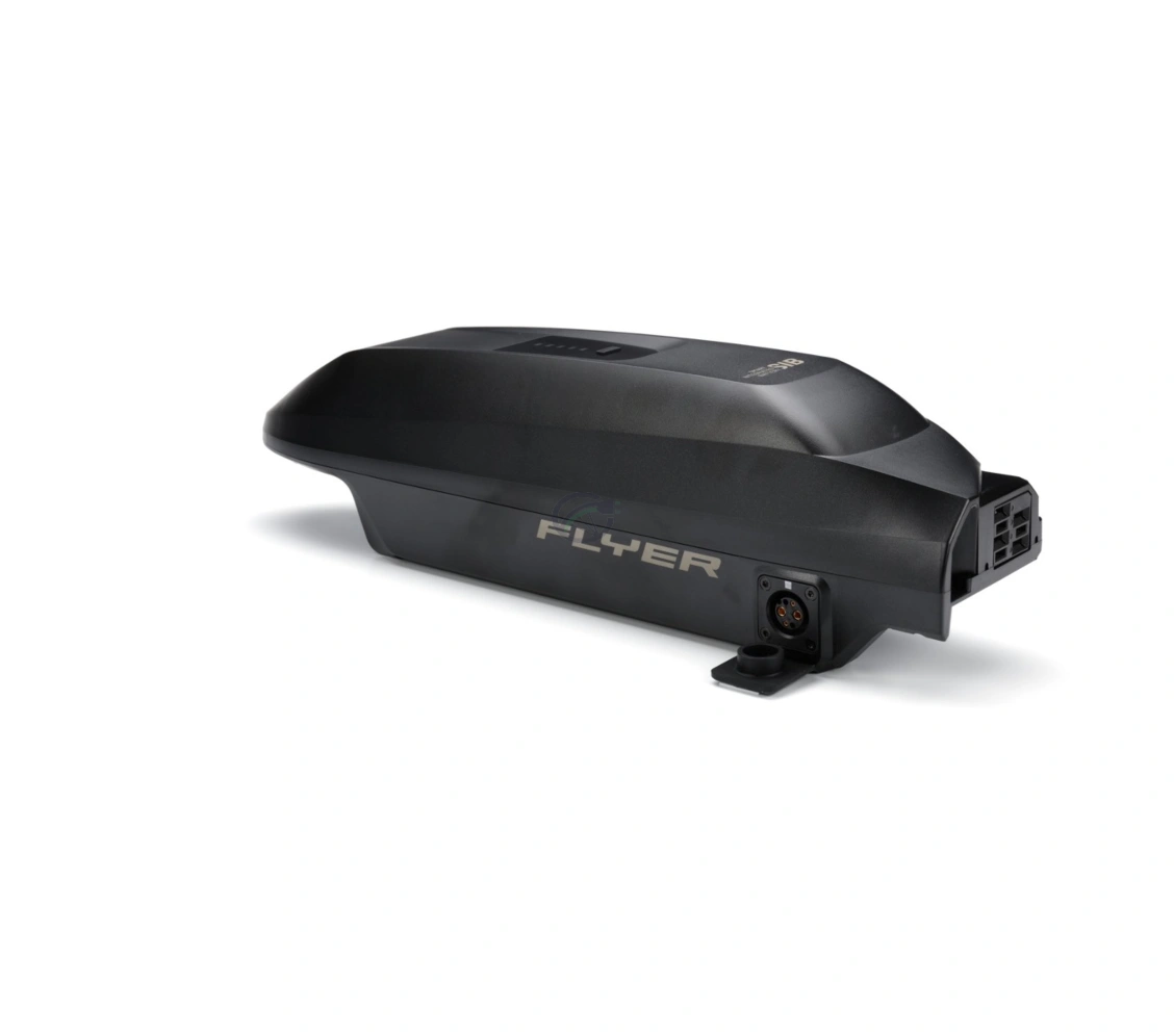 Panasonic SIB 2.0 Akku 750 Wh von Flyer 36V 20.1Ah – Bild 7