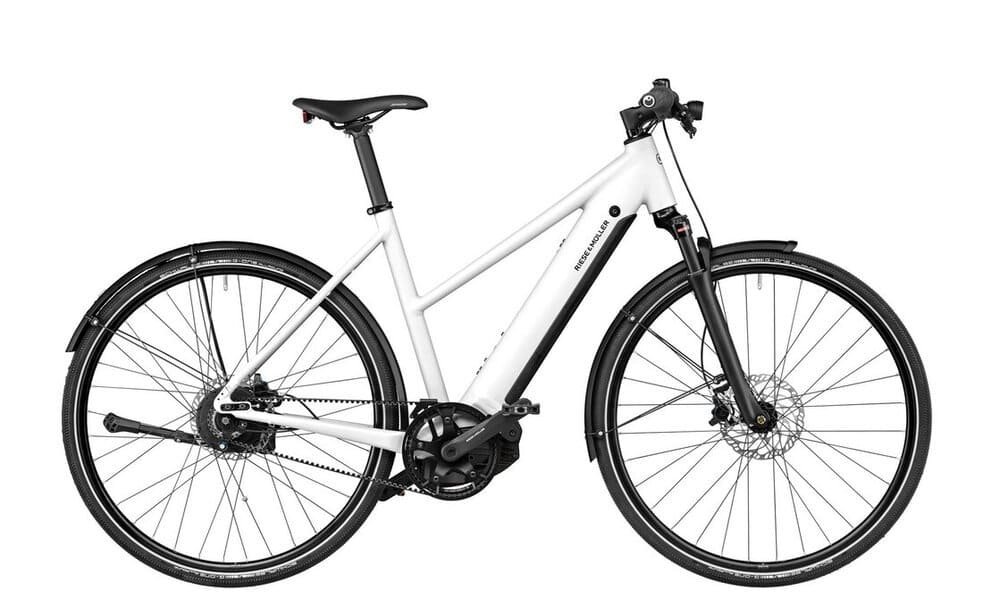 Riese und Müller Roadster4 Mixte vario 625 Wh 28 Zoll Trapez